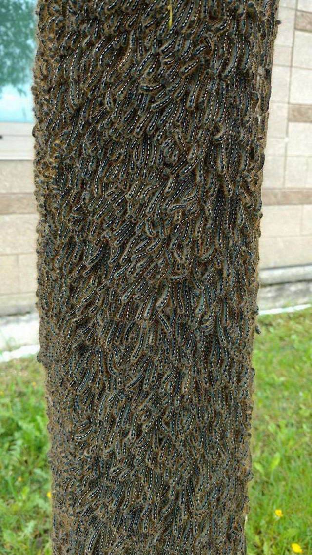 daily picdump 101 pics 38.html - 101 HD Photos | Premium Gallery 2018