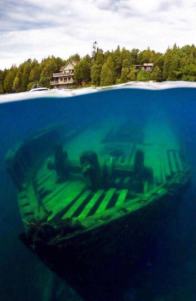 daily picdump 101 pics 38.html - 101 HD Photos | Premium Gallery 2018