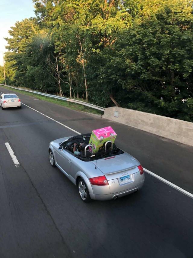 daily picdump 101 pics 38.html - 101 HD Photos | Premium Gallery 2018