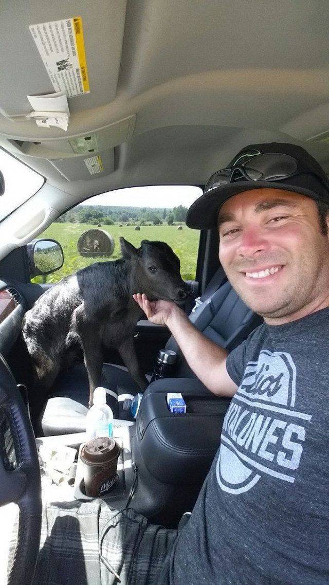 daily picdump 101 pics 38.html - 101 HD Photos | Premium Gallery 2018