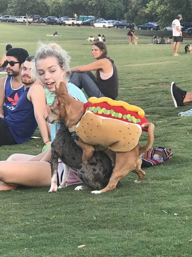 daily picdump 101 pics 38.html - 101 HD Photos | Premium Gallery 2018