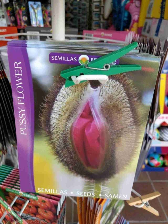 grownup corner 61 pics 9.html - 61 HD Photos | Premium Gallery 2018