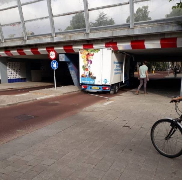 Daily Picdump [WEEKEND EDITION]