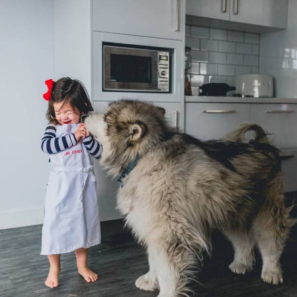 Daily Picdump [WEEKEND EDITION]