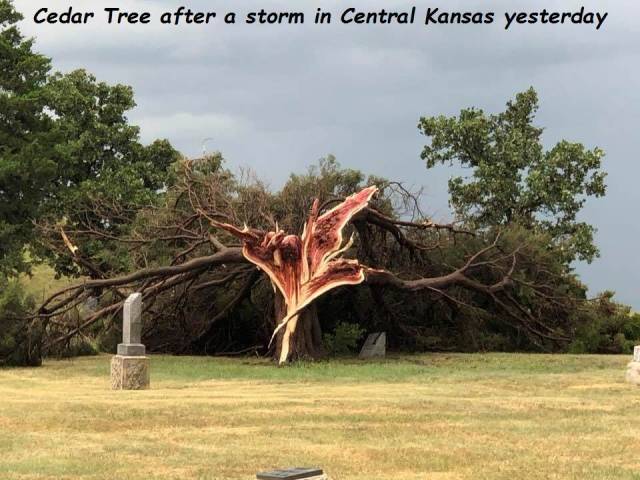 daily picdump weekend edition 63 pics 19.html - 63 HD Photos | Premium Gallery 2018