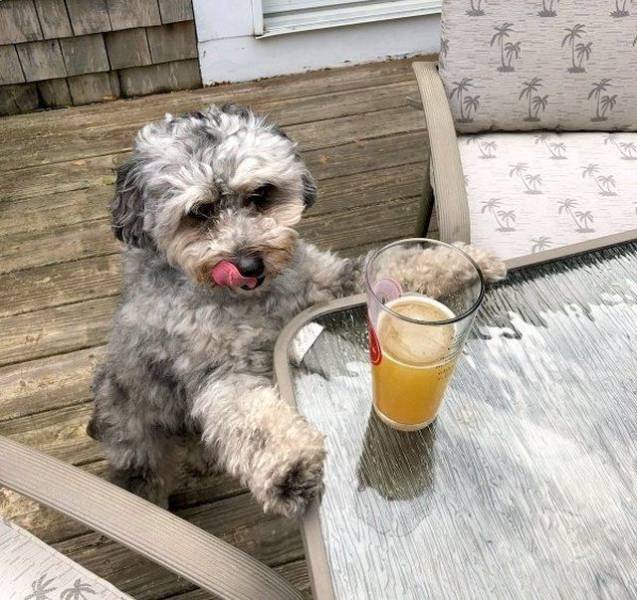 daily picdump weekend edition 63 pics 19.html - 63 HD Photos | Premium Gallery 2018