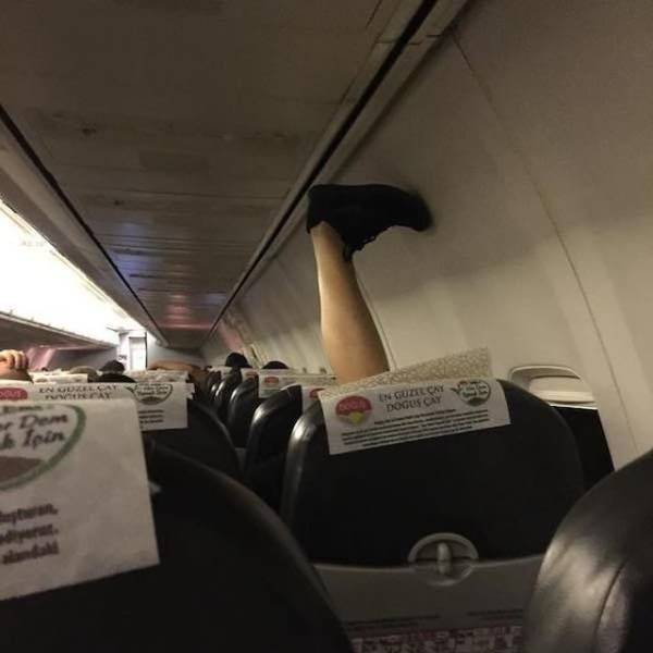 daily picdump weekend edition 63 pics 19.html - 63 HD Photos | Premium Gallery 2018