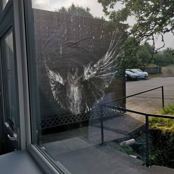 daily picdump weekend edition 63 pics 19.html - 63 HD Photos | Premium Gallery 2018