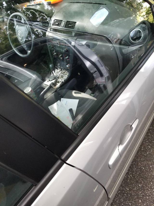 daily picdump weekend edition 63 pics 19.html - 63 HD Photos | Premium Gallery 2018