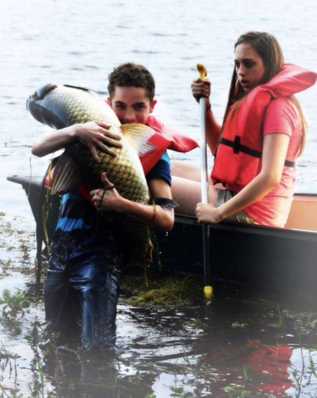 daily picdump weekend edition 63 pics 19.html - 63 HD Photos | Premium Gallery 2018