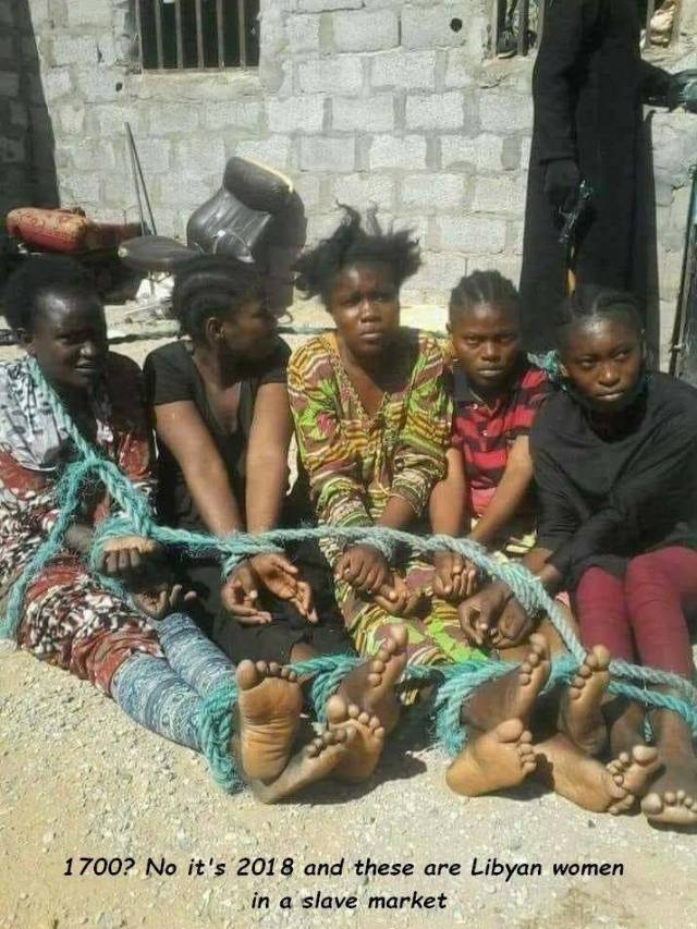 daily picdump 101 pics 10.html - 101 HD Photos | Premium Gallery 2018