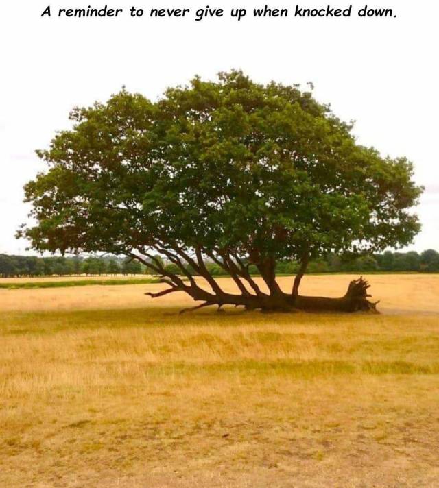 daily picdump 101 pics 10.html - 101 HD Photos | Premium Gallery 2018