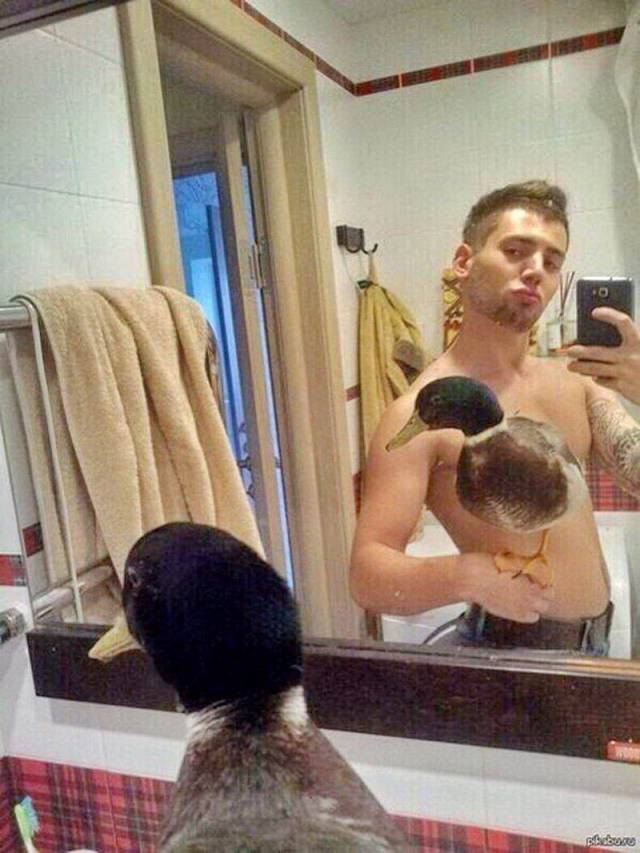 daily picdump 106 pics 53.html - 106 HD Photos | Premium Gallery 2018