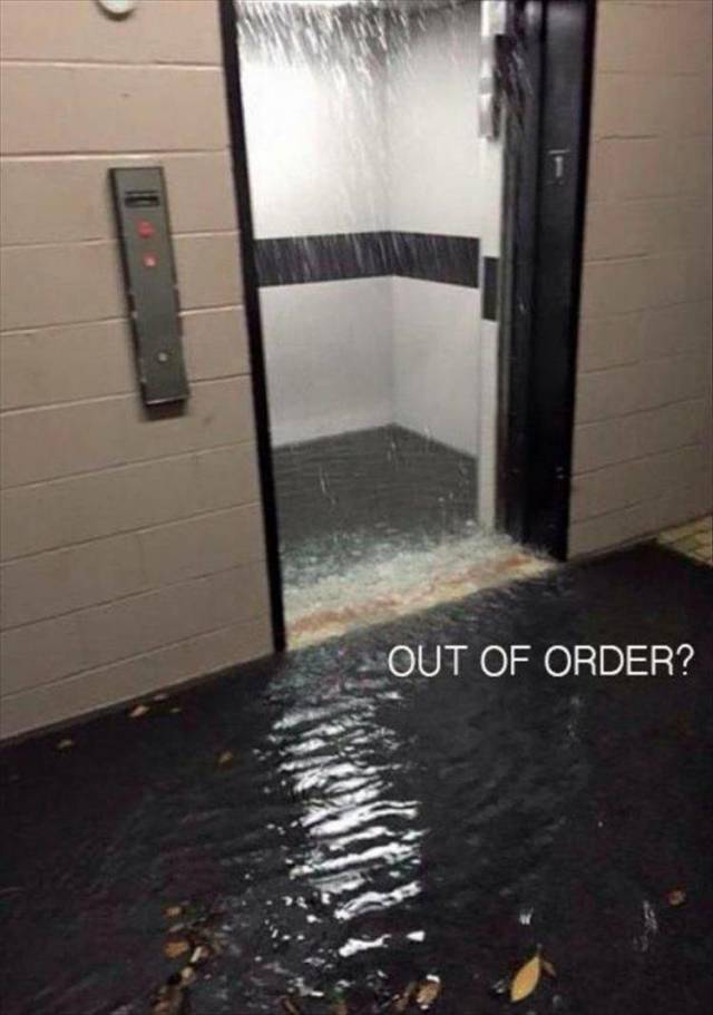 daily picdump 106 pics 53.html - 106 HD Photos | Premium Gallery 2018