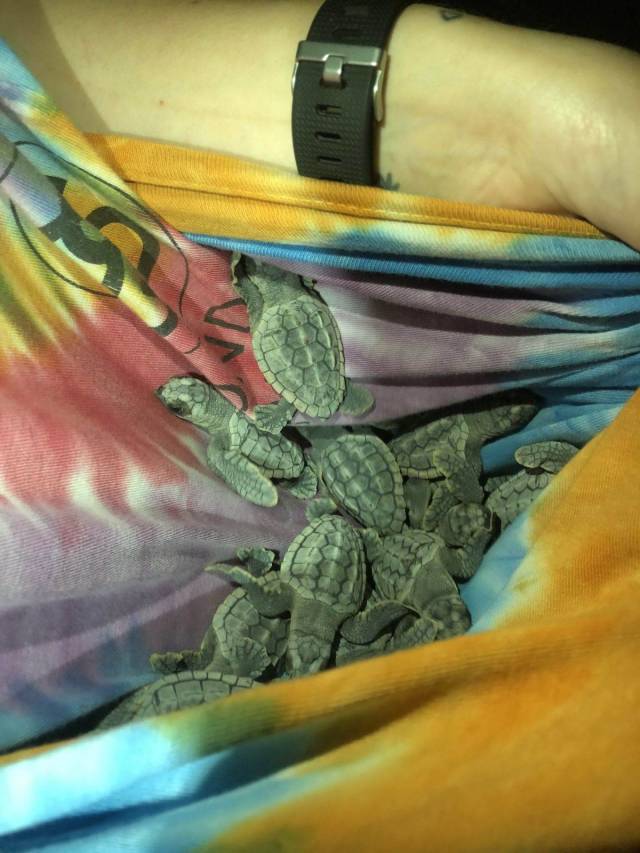 daily picdump 106 pics 53.html - 106 HD Photos | Premium Gallery 2018