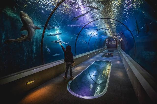 morning picdump 51 pics 1.html - 51 HD Photos | Premium Gallery 2018