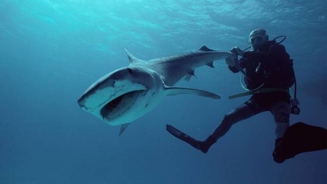 daily picdump 96 pics 6.html - 96 HD Photos | Premium Gallery 2018