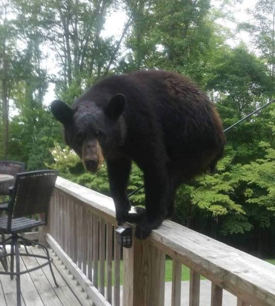 daily picdump 96 pics 6.html - 96 HD Photos | Premium Gallery 2018