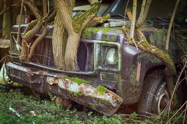 daily picdump 96 pics 6.html - 96 HD Photos | Premium Gallery 2018