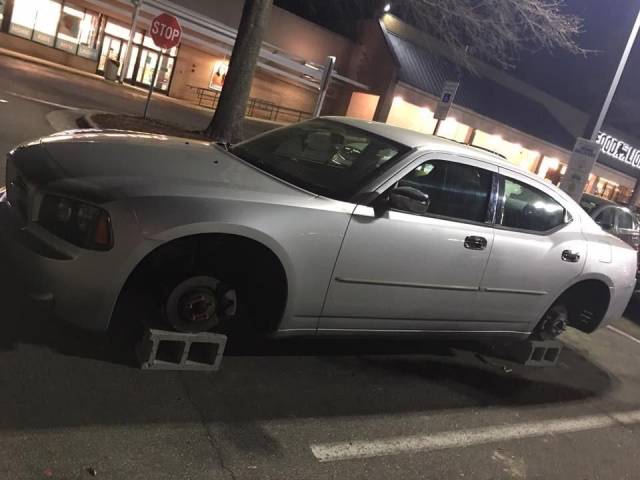 daily picdump 96 pics 6.html - 96 HD Photos | Premium Gallery 2018