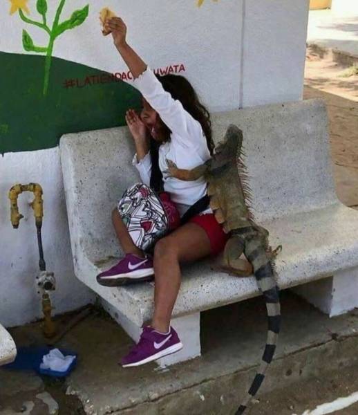 daily picdump 96 pics 6.html - 96 HD Photos | Premium Gallery 2018