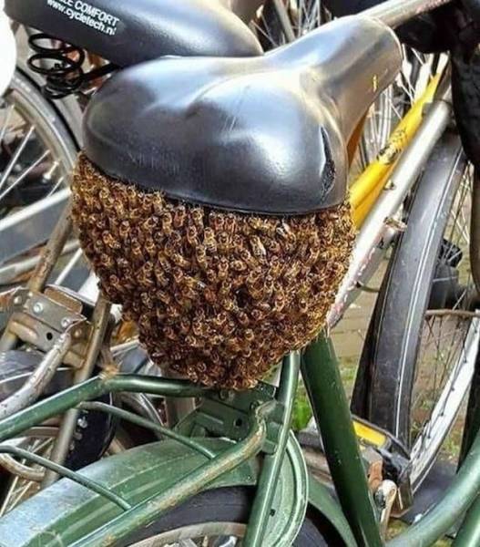 daily picdump 96 pics 6.html - 96 HD Photos | Premium Gallery 2018