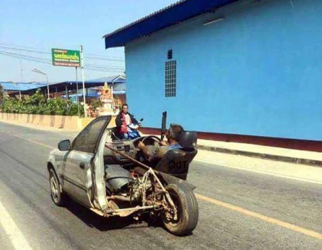 daily picdump 96 pics 6.html - 96 HD Photos | Premium Gallery 2018