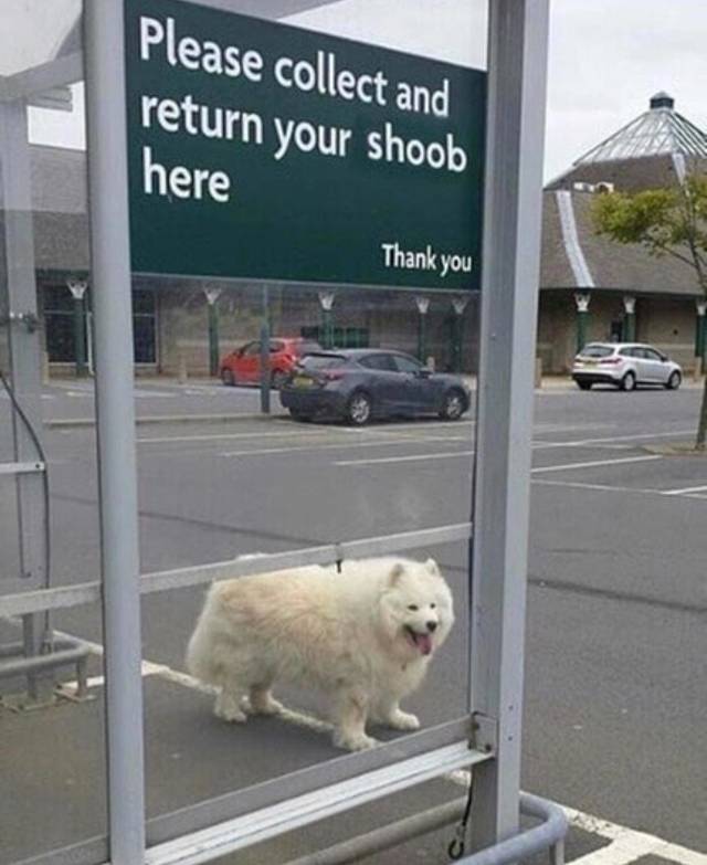 morning picdump 50 pics 7.html - 50 HD Photos | Premium Gallery 2018