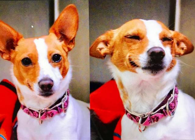 daily picdump 91 pics 38.html - 91 HD Photos | Premium Gallery 2018