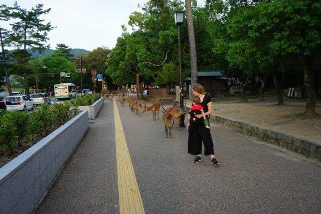 daily picdump 91 pics 38.html - 91 HD Photos | Premium Gallery 2018