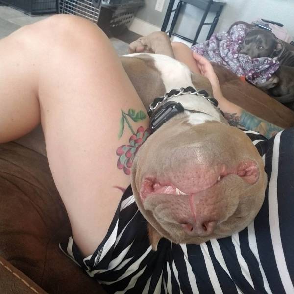 daily picdump 91 pics 38.html - 91 HD Photos | Premium Gallery 2018