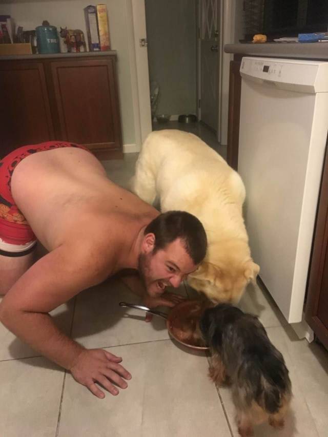 daily picdump 91 pics 38.html - 91 HD Photos | Premium Gallery 2018