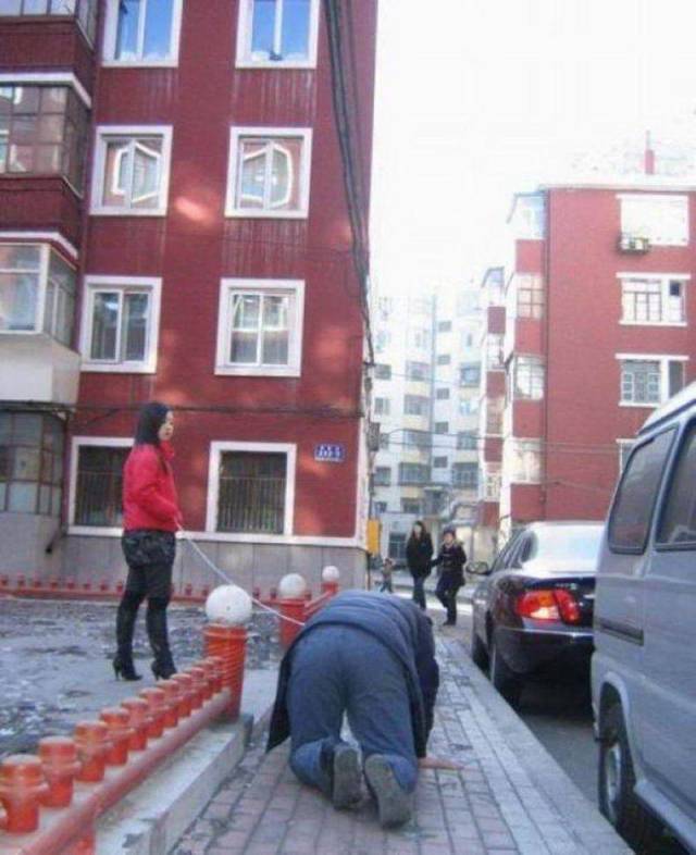 daily picdump 91 pics 38.html - 91 HD Photos | Premium Gallery 2018