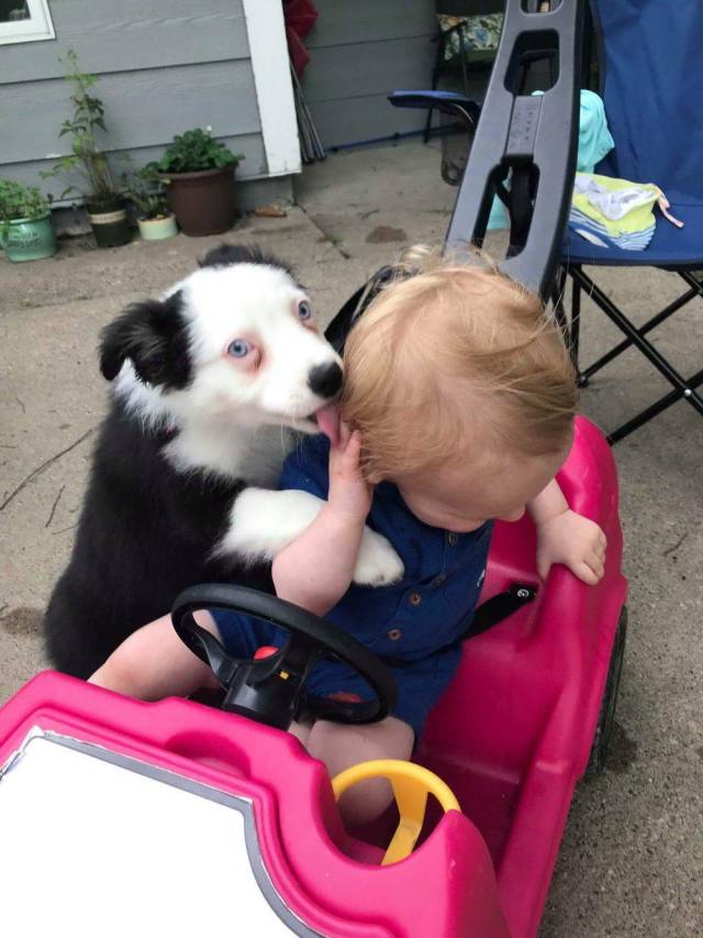 daily picdump 91 pics 38.html - 91 HD Photos | Premium Gallery 2018