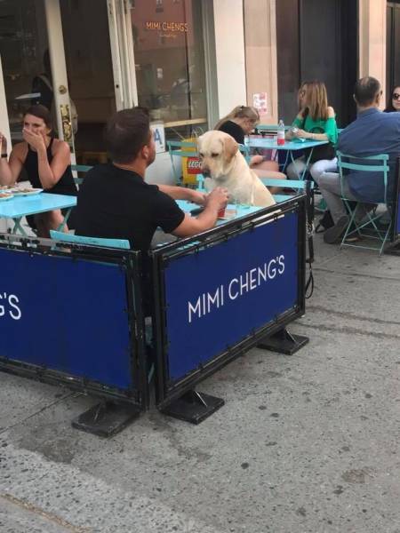 morning picdump 51 pics 25.html - 51 HD Photos | Premium Gallery 2018