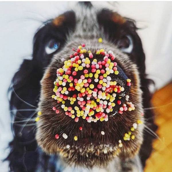 daily picdump 97 pics 33.html - 97 HD Photos | Premium Gallery 2018