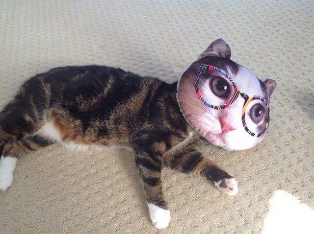 daily picdump 97 pics 33.html - 97 HD Photos | Premium Gallery 2018