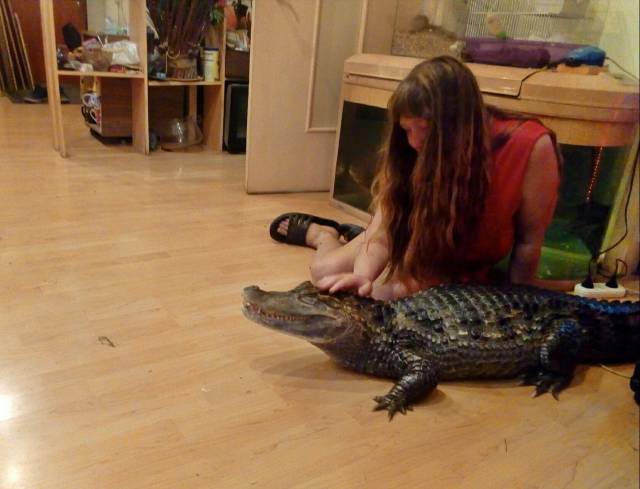 daily picdump 97 pics 33.html - 97 HD Photos | Premium Gallery 2018