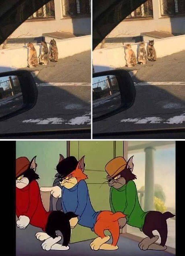 daily picdump 97 pics 33.html - 97 HD Photos | Premium Gallery 2018