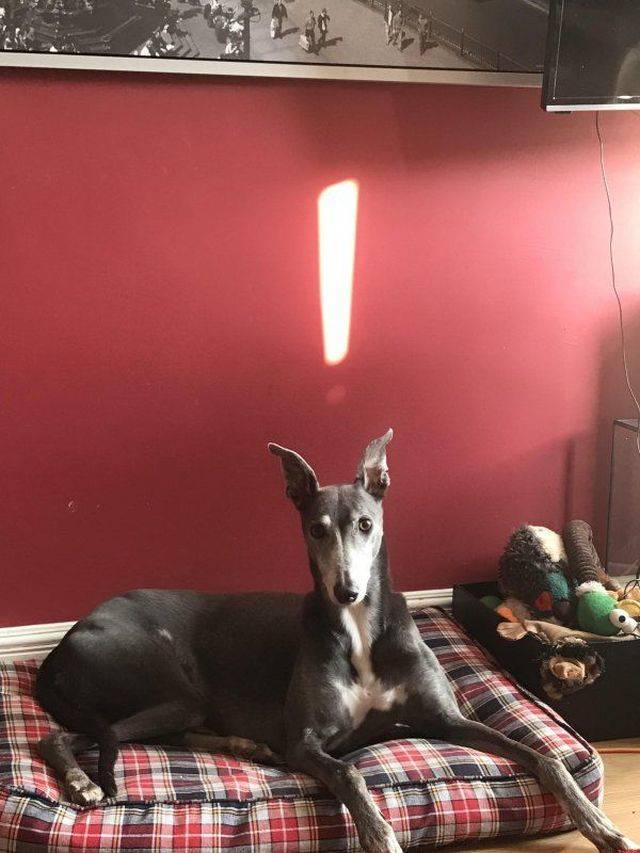 daily picdump 97 pics 33.html - 97 HD Photos | Premium Gallery 2018