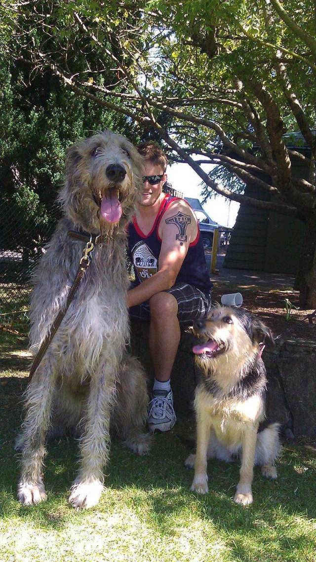 daily picdump 97 pics 33.html - 97 HD Photos | Premium Gallery 2018