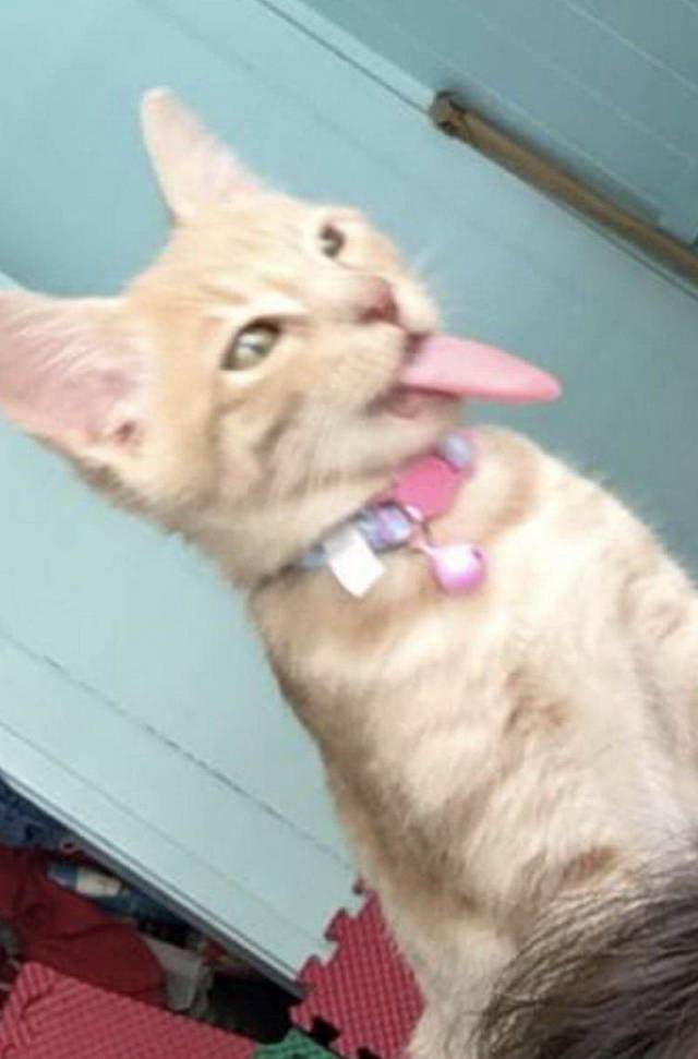 daily picdump 97 pics 33.html - 97 HD Photos | Premium Gallery 2018