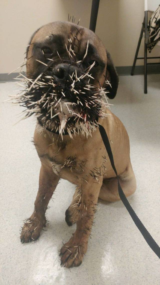 daily picdump 97 pics 33.html - 97 HD Photos | Premium Gallery 2018