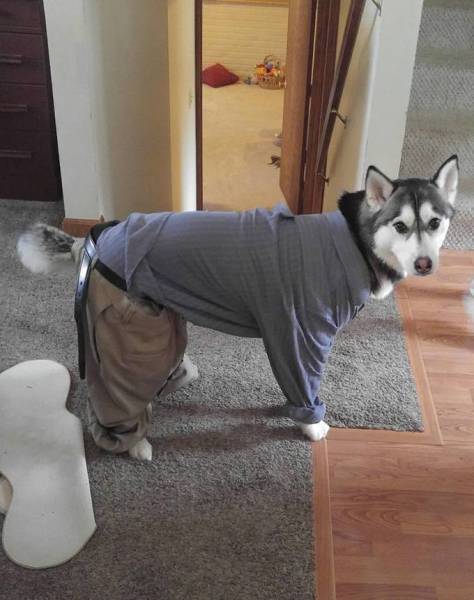 morning picdump 49 pics 2.html - 49 HD Photos | Premium Gallery 2018