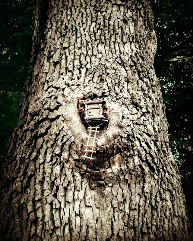 morning picdump 49 pics 2.html - 49 HD Photos | Premium Gallery 2018