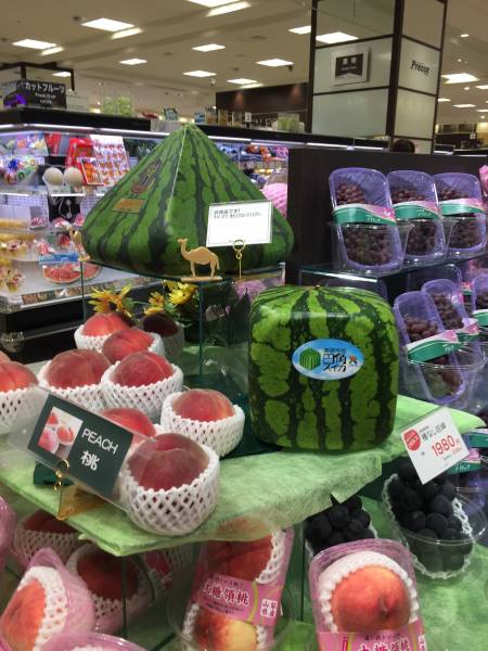 Daily Picdump [WEEKEND EDITION]