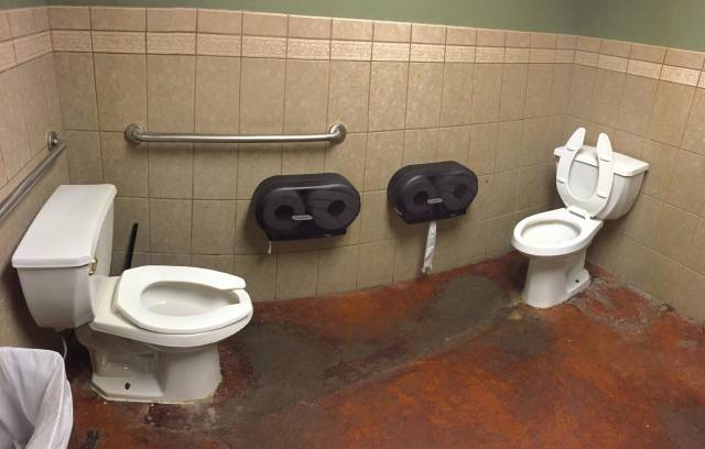 daily picdump weekend edition 51 pics 19.html - 51 HD Photos | Premium Gallery 2018