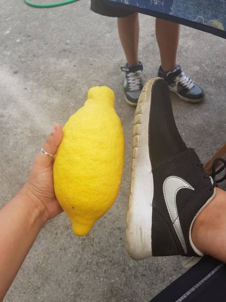 daily picdump weekend edition 51 pics 19.html - 51 HD Photos | Premium Gallery 2018