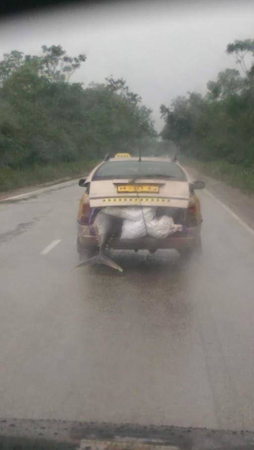 Daily Picdump [WEEKEND EDITION]