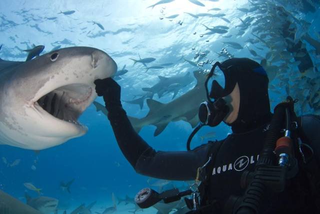 daily picdump 100 pics 38.html - 100 HD Photos | Premium Gallery 2018